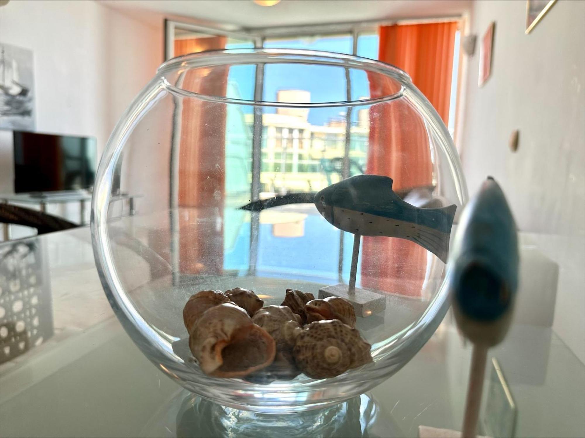 Julia Family - Menada Apartments 阳光海滩 外观 照片